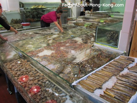 Hong Kong Seafood Restaurants Fish Tank