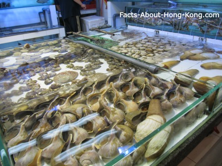 Vast array of shellfish in Lei Yue Mun, Hong Kong