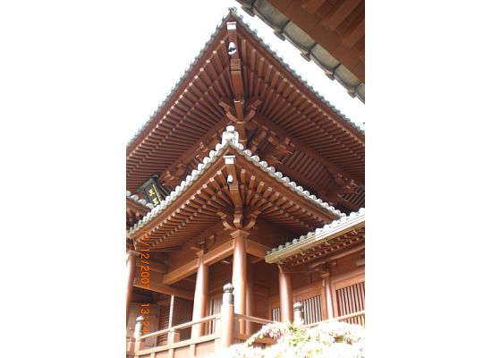 Roof of the buildings in Chi Lin Nunnery with intricate wood joinery