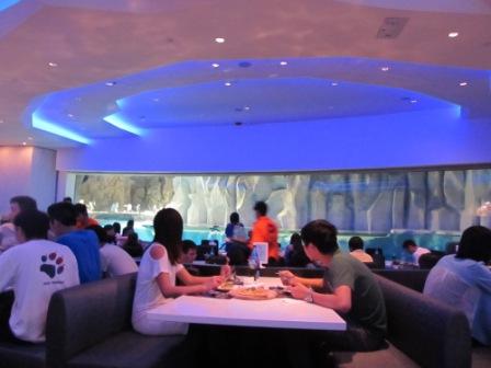Inside the Tuxedo Restaurant, Ocean Park Hong Kong.  See the big glass window?  That's where you can see all the activities of the cute little penguins