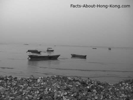 Lau Fau Shan oyster farm, a pic taken by me that I am so proud of.