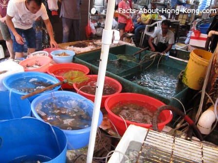 Seafood for sale in Lantau Island, Hong Kong