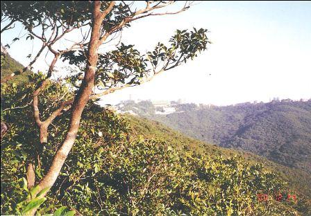 Hong Kong Peak, Lugard Road