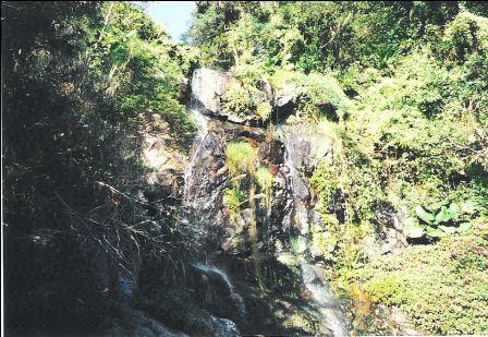 Hong Kong Peak, Lugard Road rapid