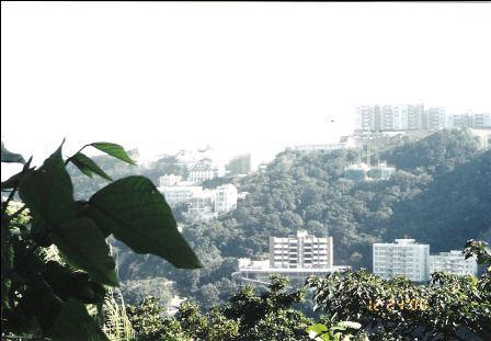 Hong Kong Skyline - Lookout from the Peak, Luxurious housing estates