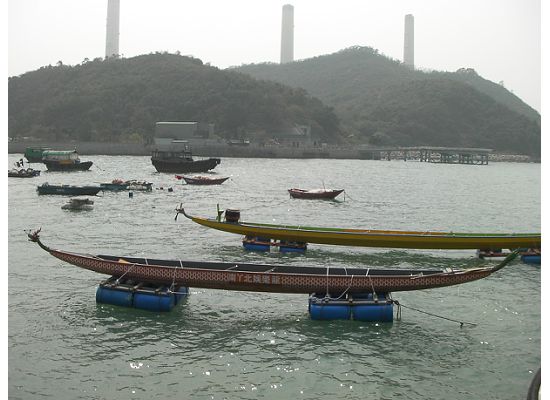 Dragon Boats in Lamma Island