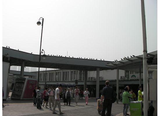 Hong Kong Star Ferry Tsim Sha Tsui Pie