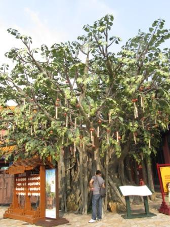 Replica of Hong Kong Lam Tsuen Wishing Tree in Ngong Ping Village
